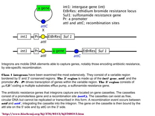 Integrons are mobile DNA elements able to capture genes, notably those encoding antibiotic resistance,
by site-specific recombination.

Class 1 integrons have been examined the most extensively. They consist of a variable region
bordered by 5' and 3' conserved regions. The 5' region is made up of the int1 gene, attI, and the
promoter Pr . Pr drives transciption of genes within the variable region. The 3' region consists of
qacED1*, coding a multiple substrates efflux pump, a sulfonamide resistance gene.

The antibiotic resistance genes that integrons capture are located on gene cassettes. The cassettes
consist of a promoterless gene and a recombination site (attC). The cassettes can exist as free,
circular DNA but cannot be replicated or transcribed in this form. A recombination event occurs between
attI and attC, integrating the cassette into the integron. The gene on the cassette is then bound by the
attI site on the 5' side and by attC on the 3' side.

*http://www.biochemj.org/bj/376/0313/bj3760313.htm
 
