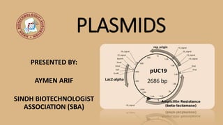 PLASMIDS
PRESENTED BY:
AYMEN ARIF
SINDH BIOTECHNOLOGIST
ASSOCIATION (SBA)
 