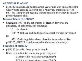 ARTIFICIAL PLASMID
• pBR322 is a purpose built plasmid vector and was one of the first
widely used cloning vector it has a relatively small size of 4361
bp. This is important because transformation efficiency is inversly
proportional to size.
Nomenclature of pBR322
• Created in 1977 in the laboratory of Herbert Boyer at the
university of california, san Francisco
‘p’  plasmid
‘BR’  Boliver and Rodriguez (researchers who developed
it)
‘322’  distinguishes those plasmids from others (like
pBR325,pBR327 etc) developed in the same laboratory
Features of pBR322
• pBR322 has 4361 base pairs in length
• It has two antibiotic resistance genes they are:
a)Ampicillin resistance gene(AmpR)
R
 