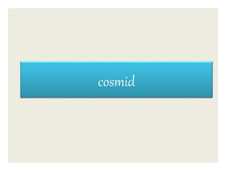 cosmid
 