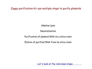 Zyppy purification kit use multiple steps to purify plasmids
Alkaline lysis
Neutralization
Purification of plasmid DNA on a silica resin
Elution of purified DNA from he silica resin
Let's look at the individual steps……………..
 