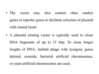 • The vector may also contain other marker
genes or reporter genes to facilitate selection of plasmid
with cloned insert.
• A plasmid cloning vector is typically used to clone
DNA fragments of up to 15 kbp. To clone longer
lengths of DNA, lambda phage with lysogeny genes
deleted, cosmids, bacterial artificial chromosomes,
or yeast artificial chromosomes are used.
 