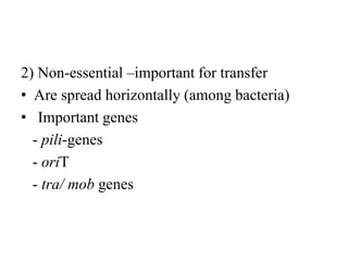 2) Non-essential –important for transfer
• Are spread horizontally (among bacteria)
• Important genes
- pili-genes
- oriT
- tra/ mob genes
 