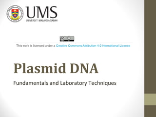 Plasmid DNA
Fundamentals and Laboratory Techniques
 