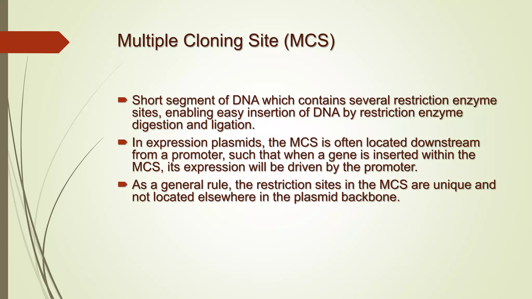 Multiple Cloning Site (MCS)
 Short segment of DNA which contains several restriction enzyme
sites, enabling easy insertion of DNA by restriction enzyme
digestion and ligation.
 In expression plasmids, the MCS is often located downstream
from a promoter, such that when a gene is inserted within the
MCS, its expression will be driven by the promoter.
 As a general rule, the restriction sites in the MCS are unique and
not located elsewhere in the plasmid backbone.
 