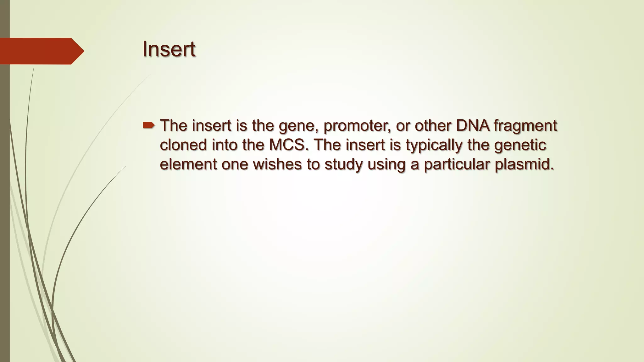 Insert
 The insert is the gene, promoter, or other DNA fragment
cloned into the MCS. The insert is typically the genetic
element one wishes to study using a particular plasmid.
 