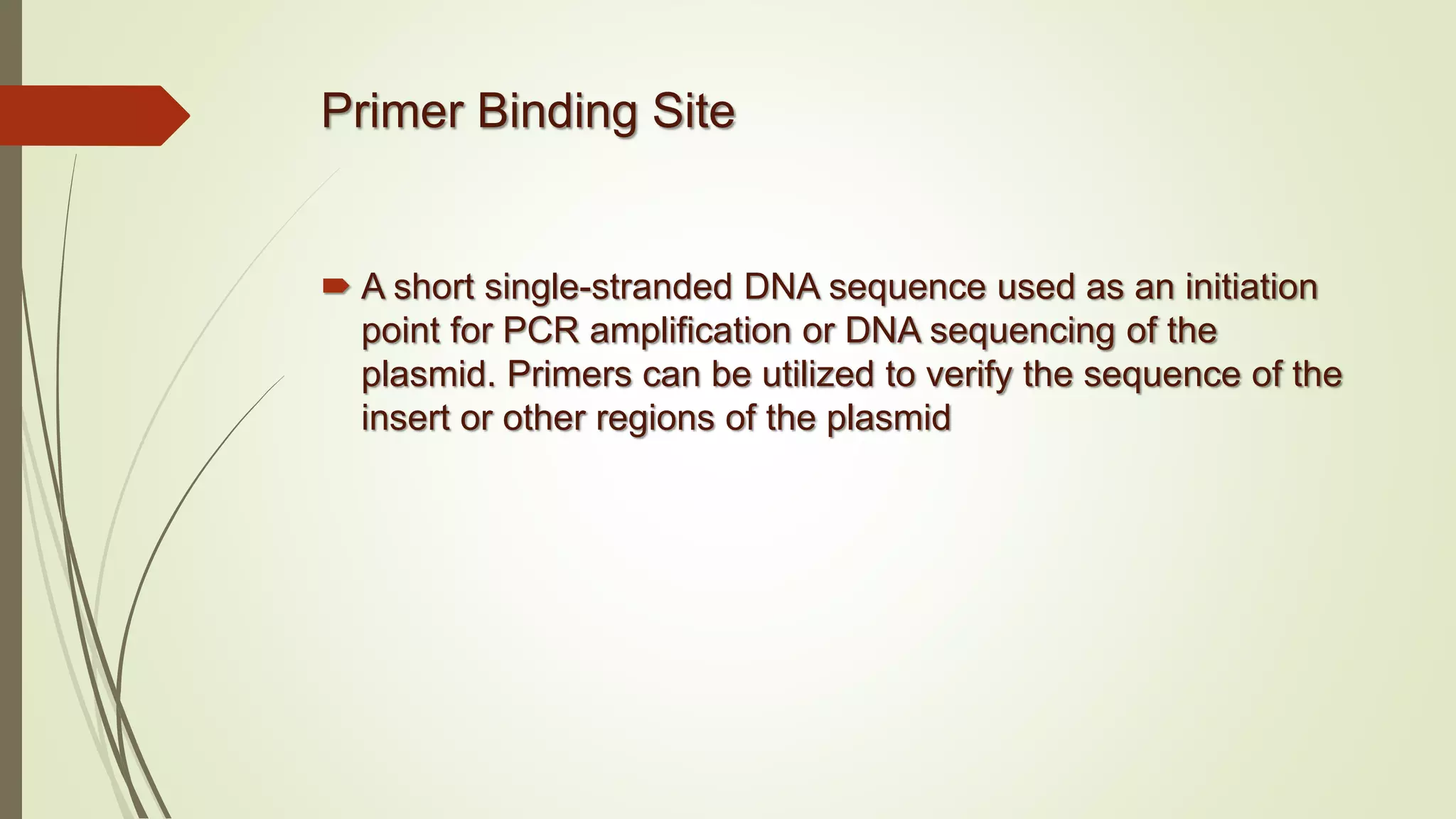 Primer Binding Site
 A short single-stranded DNA sequence used as an initiation
point for PCR amplification or DNA sequencing of the
plasmid. Primers can be utilized to verify the sequence of the
insert or other regions of the plasmid
 