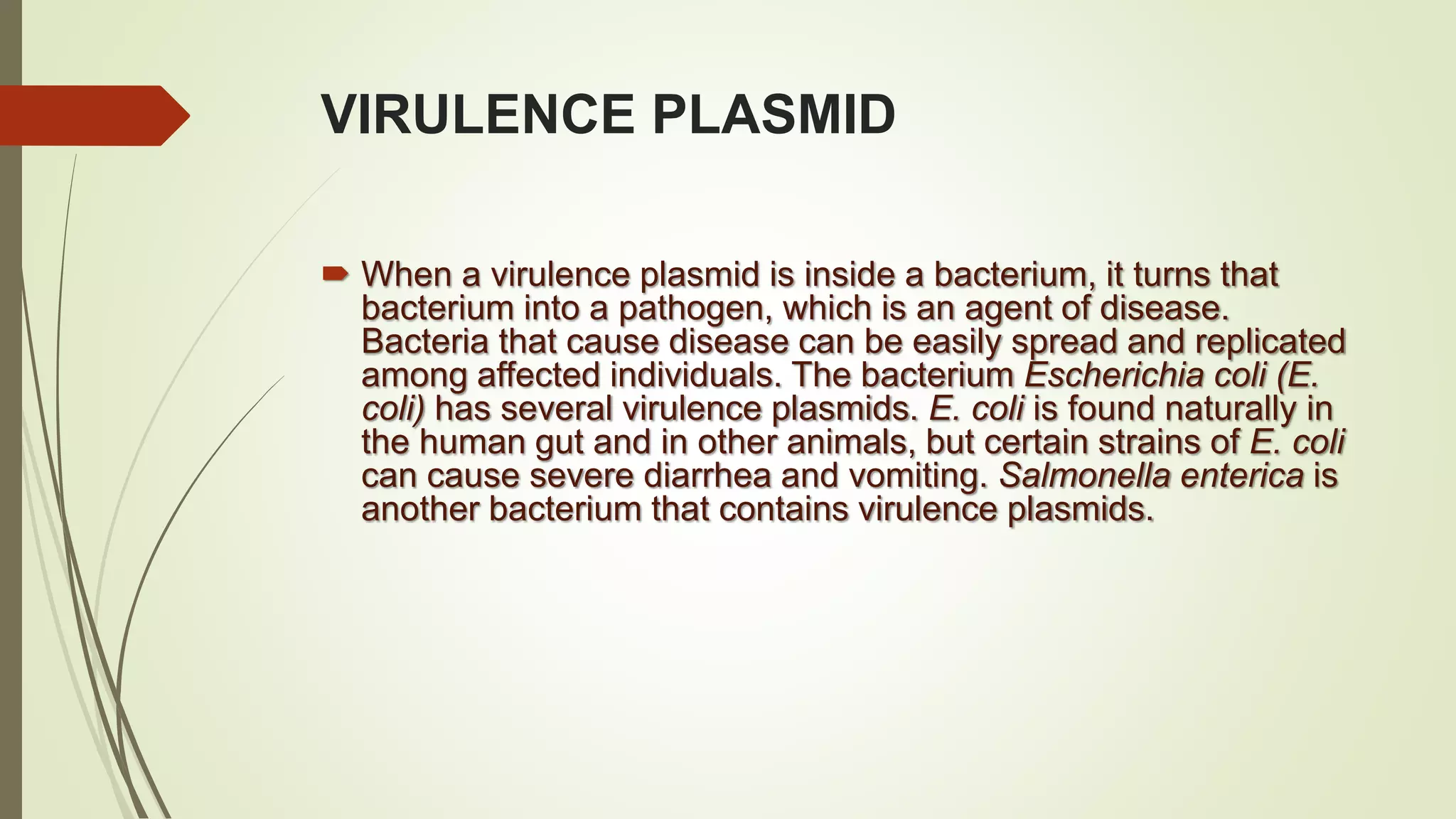 VIRULENCE PLASMID
 When a virulence plasmid is inside a bacterium, it turns that
bacterium into a pathogen, which is an agent of disease.
Bacteria that cause disease can be easily spread and replicated
among affected individuals. The bacterium Escherichia coli (E.
coli) has several virulence plasmids. E. coli is found naturally in
the human gut and in other animals, but certain strains of E. coli
can cause severe diarrhea and vomiting. Salmonella enterica is
another bacterium that contains virulence plasmids.
 