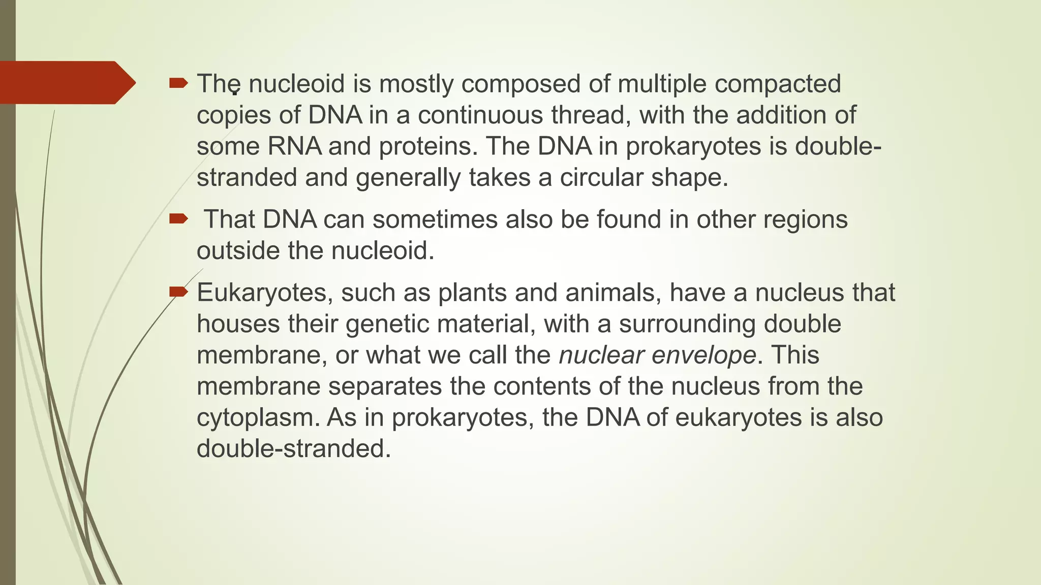 . The nucleoid is mostly composed of multiple compacted
copies of DNA in a continuous thread, with the addition of
some RNA and proteins. The DNA in prokaryotes is double-
stranded and generally takes a circular shape.
 That DNA can sometimes also be found in other regions
outside the nucleoid.
 Eukaryotes, such as plants and animals, have a nucleus that
houses their genetic material, with a surrounding double
membrane, or what we call the nuclear envelope. This
membrane separates the contents of the nucleus from the
cytoplasm. As in prokaryotes, the DNA of eukaryotes is also
double-stranded.
 