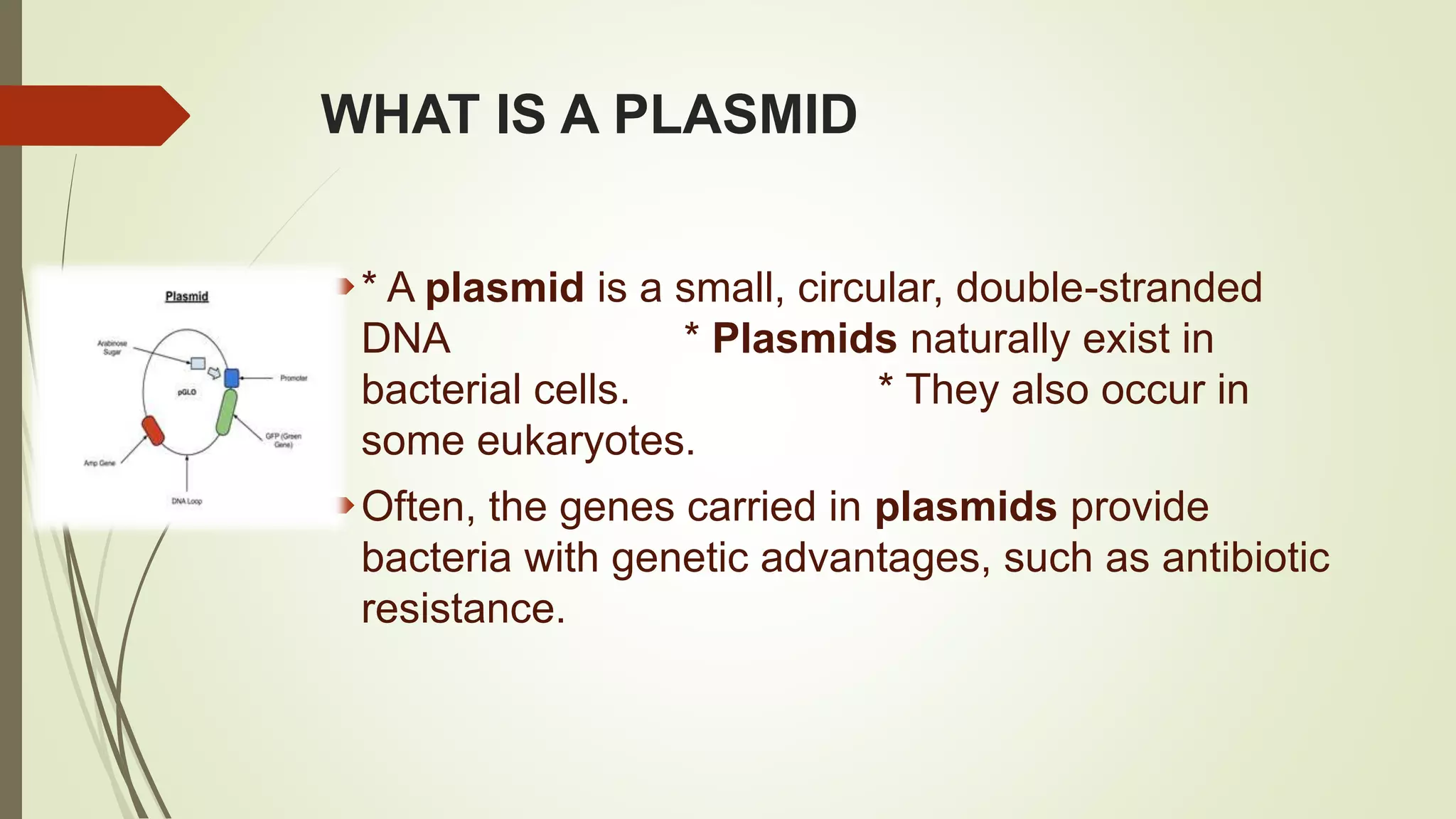 WHAT IS A PLASMID
* A plasmid is a small, circular, double-stranded
DNA * Plasmids naturally exist in
bacterial cells. * They also occur in
some eukaryotes.
Often, the genes carried in plasmids provide
bacteria with genetic advantages, such as antibiotic
resistance.
 