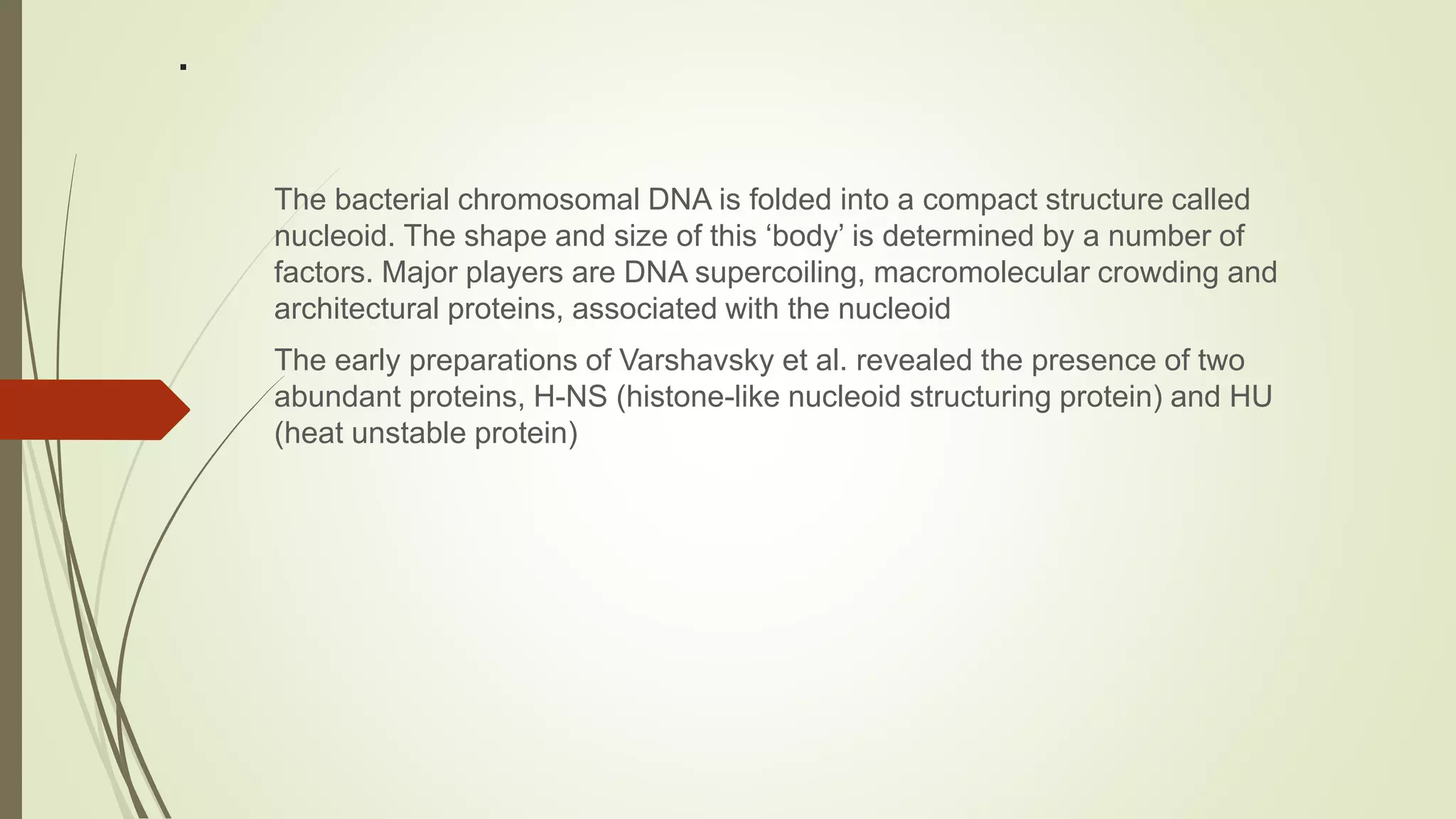 .
The bacterial chromosomal DNA is folded into a compact structure called
nucleoid. The shape and size of this ‘body’ is determined by a number of
factors. Major players are DNA supercoiling, macromolecular crowding and
architectural proteins, associated with the nucleoid
The early preparations of Varshavsky et al. revealed the presence of two
abundant proteins, H-NS (histone-like nucleoid structuring protein) and HU
(heat unstable protein)
 