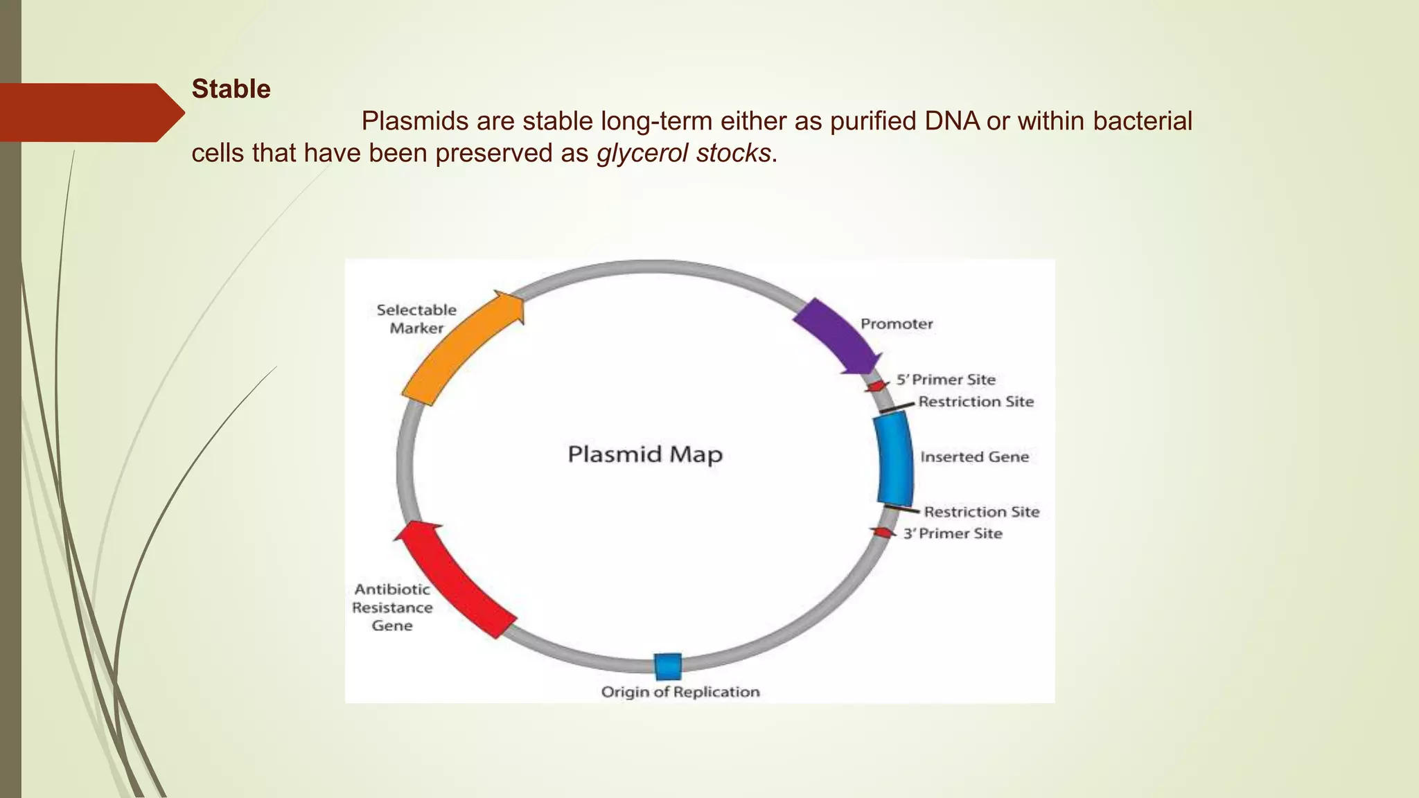 Stable
Plasmids are stable long-term either as purified DNA or within bacterial
cells that have been preserved as glycerol stocks.
 