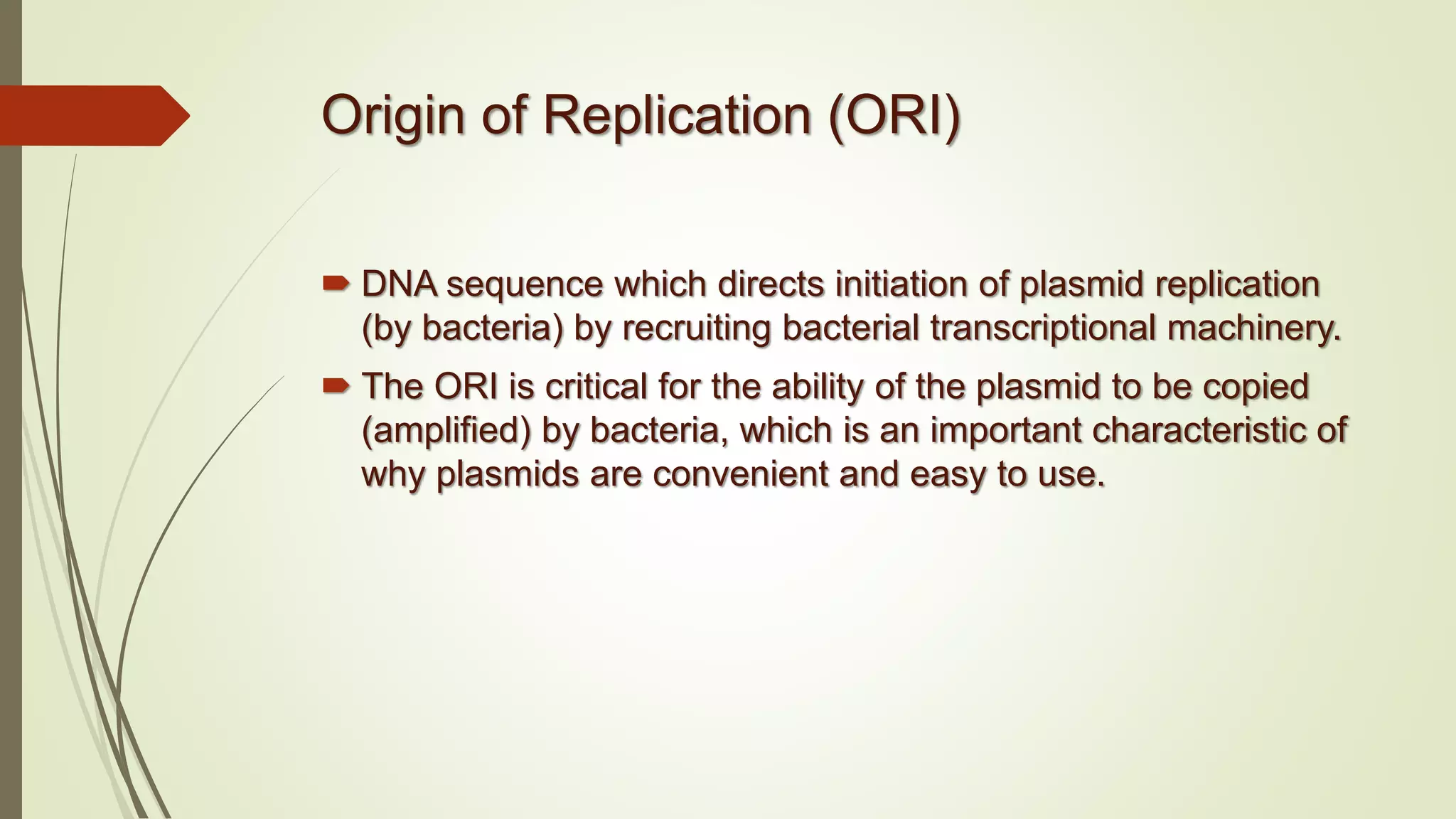 Origin of Replication (ORI)
 DNA sequence which directs initiation of plasmid replication
(by bacteria) by recruiting bacterial transcriptional machinery.
 The ORI is critical for the ability of the plasmid to be copied
(amplified) by bacteria, which is an important characteristic of
why plasmids are convenient and easy to use.
 