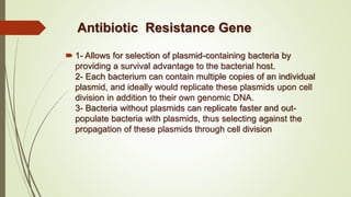  1- Allows for selection of plasmid-containing bacteria by
providing a survival advantage to the bacterial host.
2- Each bacterium can contain multiple copies of an individual
plasmid, and ideally would replicate these plasmids upon cell
division in addition to their own genomic DNA.
3- Bacteria without plasmids can replicate faster and out-
populate bacteria with plasmids, thus selecting against the
propagation of these plasmids through cell division
Antibiotic Resistance Gene
 