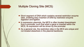 Multiple Cloning Site (MCS)
 Short segment of DNA which contains several restriction enzyme
sites, enabling easy insertion of DNA by restriction enzyme
digestion and ligation.
 In expression plasmids, the MCS is often located downstream
from a promoter, such that when a gene is inserted within the
MCS, its expression will be driven by the promoter.
 As a general rule, the restriction sites in the MCS are unique and
not located elsewhere in the plasmid backbone.
 