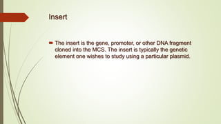 Insert
 The insert is the gene, promoter, or other DNA fragment
cloned into the MCS. The insert is typically the genetic
element one wishes to study using a particular plasmid.
 