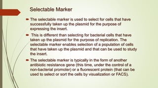 Selectable Marker
 The selectable marker is used to select for cells that have
successfully taken up the plasmid for the purpose of
expressing the insert.
 This is different than selecting for bacterial cells that have
taken up the plasmid for the purpose of replication. The
selectable marker enables selection of a population of cells
that have taken up the plasmid and that can be used to study
the insert.
 The selectable marker is typically in the form of another
antibiotic resistance gene (this time, under the control of a
non-bacterial promoter) or a fluorescent protein (that can be
used to select or sort the cells by visualization or FACS).
 