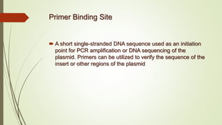 Primer Binding Site
 A short single-stranded DNA sequence used as an initiation
point for PCR amplification or DNA sequencing of the
plasmid. Primers can be utilized to verify the sequence of the
insert or other regions of the plasmid
 