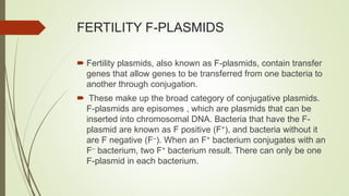 FERTILITY F-PLASMIDS
 Fertility plasmids, also known as F-plasmids, contain transfer
genes that allow genes to be transferred from one bacteria to
another through conjugation.
 These make up the broad category of conjugative plasmids.
F-plasmids are episomes , which are plasmids that can be
inserted into chromosomal DNA. Bacteria that have the F-
plasmid are known as F positive (F+), and bacteria without it
are F negative (F–). When an F+ bacterium conjugates with an
F– bacterium, two F+ bacterium result. There can only be one
F-plasmid in each bacterium.
 