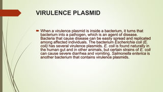 VIRULENCE PLASMID
 When a virulence plasmid is inside a bacterium, it turns that
bacterium into a pathogen, which is an agent of disease.
Bacteria that cause disease can be easily spread and replicated
among affected individuals. The bacterium Escherichia coli (E.
coli) has several virulence plasmids. E. coli is found naturally in
the human gut and in other animals, but certain strains of E. coli
can cause severe diarrhea and vomiting. Salmonella enterica is
another bacterium that contains virulence plasmids.
 