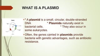WHAT IS A PLASMID
* A plasmid is a small, circular, double-stranded
DNA * Plasmids naturally exist in
bacterial cells. * They also occur in
some eukaryotes.
Often, the genes carried in plasmids provide
bacteria with genetic advantages, such as antibiotic
resistance.
 