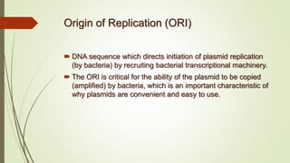 Origin of Replication (ORI)
 DNA sequence which directs initiation of plasmid replication
(by bacteria) by recruiting bacterial transcriptional machinery.
 The ORI is critical for the ability of the plasmid to be copied
(amplified) by bacteria, which is an important characteristic of
why plasmids are convenient and easy to use.
 