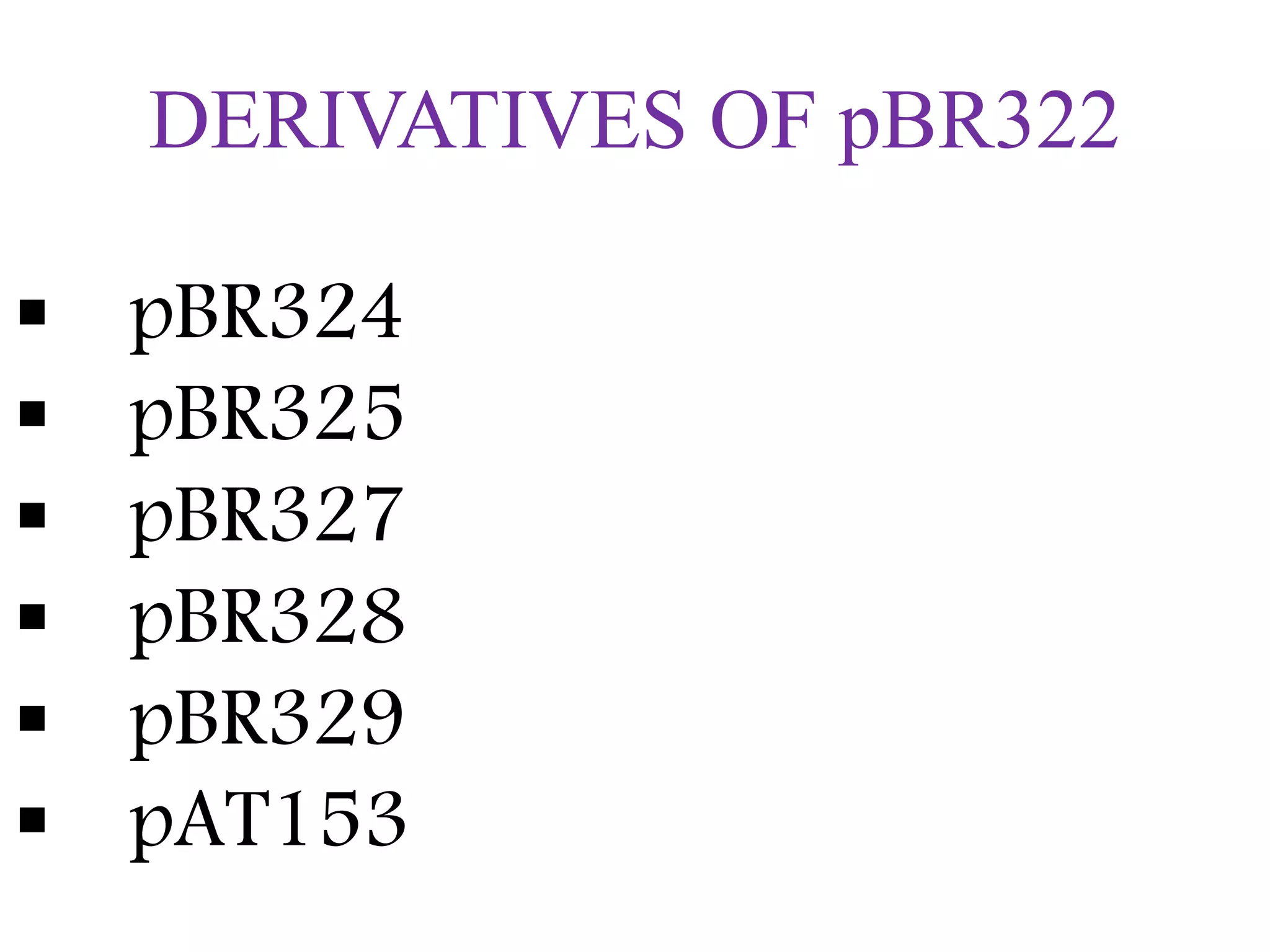 DERIVATIVES OF pBR322
 pBR324
 pBR325
 pBR327
 pBR328
 pBR329
 pAT153
 