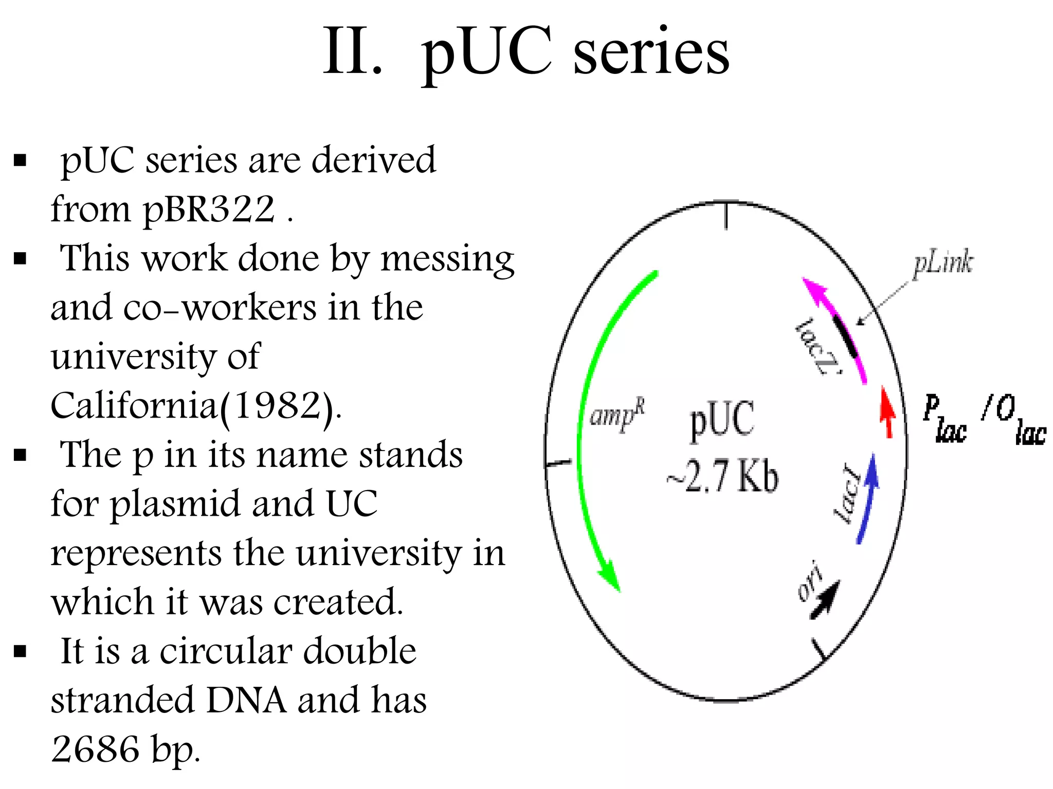 II. pUC series
 pUC series are derived
from pBR322 .
 This work done by messing
and co-workers in the
university of
California(1982).
 The p in its name stands
for plasmid and UC
represents the university in
which it was created.
 It is a circular double
stranded DNA and has
2686 bp.
 