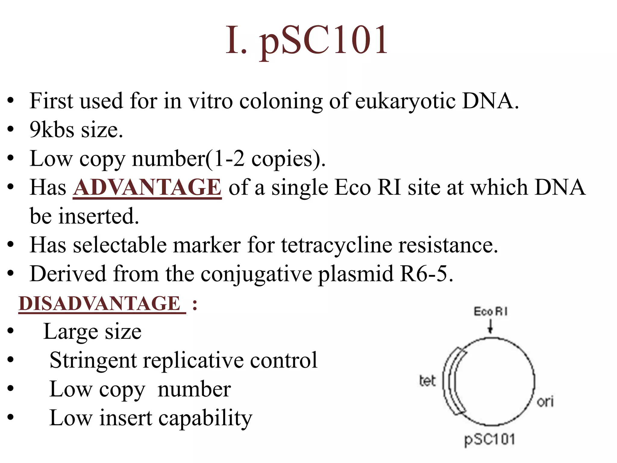 I. pSC101
• First used for in vitro coloning of eukaryotic DNA.
• 9kbs size.
• Low copy number(1-2 copies).
• Has ADVANTAGE of a single Eco RI site at which DNA
be inserted.
• Has selectable marker for tetracycline resistance.
• Derived from the conjugative plasmid R6-5.
DISADVANTAGE :
• Large size
• Stringent replicative control
• Low copy number
• Low insert capability
 