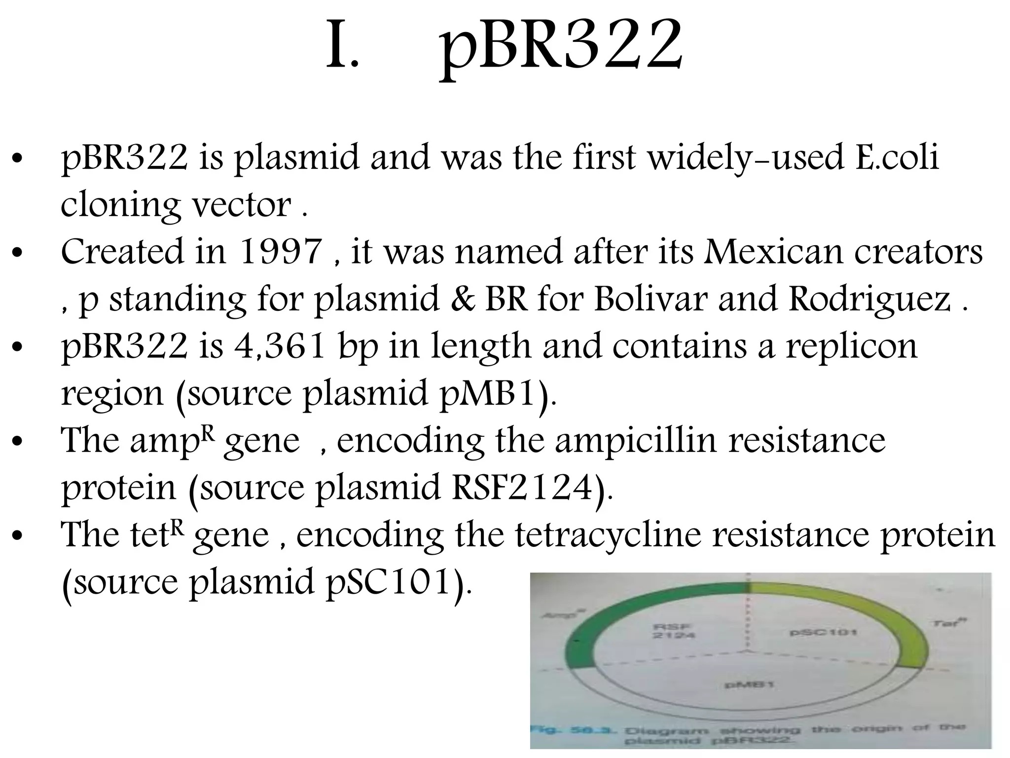 I. pBR322
• pBR322 is plasmid and was the first widely-used E.coli
cloning vector .
• Created in 1997 , it was named after its Mexican creators
, p standing for plasmid & BR for Bolivar and Rodriguez .
• pBR322 is 4,361 bp in length and contains a replicon
region (source plasmid pMB1).
• The ampR gene , encoding the ampicillin resistance
protein (source plasmid RSF2124).
• The tetR gene , encoding the tetracycline resistance protein
(source plasmid pSC101).
 