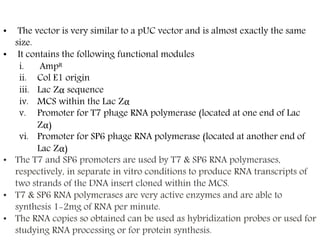 Plasmid Vector.ppt (msc - I).ppt | Chemistry | Science