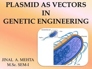 PLASMID AS VECTORS
IN
GENETIC ENGINEERING
JINAL A. MEHTA
M.Sc. SEM-I
 