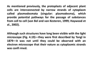 As mentioned previously, the protoplasts of adjacent plant
cells are interconnected by narrow strands of cytoplasm
called plasmodesmata (singular: plasmodesma), which
provide potential pathways for the passage of substances
from cell to cell (van Bel and van Kesteren, 1999; Haywood et
al., 2002).
Although such structures have long been visible with the light
microscope (Fig. 4.19)—they were ﬁrst described by Tangl in
1879—it was not until they could be observed with an
electron microscope that their nature as cytoplasmic strands
was conﬁ rmed.
 