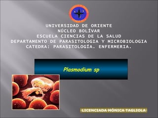 UNIVERSIDAD DE ORIENTE NÚCLEO BOLÍVAR ESCUELA CIENCIAS DE LA SALUD DEPARTAMENTO DE PARASITOLOGIA Y MICROBIOLOGIA CATEDRA: PARASITOLOGÍA. ENFERMERIA. Plasmodium sp LICENCIADA MÓNICA TAGLIOLA 