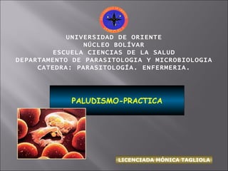 UNIVERSIDAD DE ORIENTE NÚCLEO BOLÍVAR ESCUELA CIENCIAS DE LA SALUD DEPARTAMENTO DE PARASITOLOGIA Y MICROBIOLOGIA CATEDRA: PARASITOLOGÍA. ENFERMERIA. PALUDISMO-PRACTICA LICENCIADA MÓNICA TAGLIOLA 