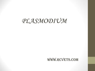 PLASMODIUM

WWW.RCVEts.Com

 