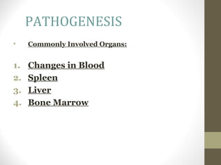 PATHOGENESIS
•

Commonly Involved Organs:

1.
2.
3.
4.

Changes in Blood
Spleen
Liver
Bone Marrow

 