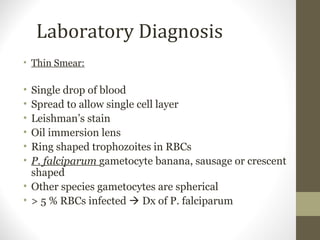 Laboratory Diagnosis
• Thin Smear:

•
•
•
•
•
•

Single drop of blood
Spread to allow single cell layer
Leishman’s stain
Oil immersion lens
Ring shaped trophozoites in RBCs
P. falciparum gametocyte banana, sausage or crescent
shaped
• Other species gametocytes are spherical
• > 5 % RBCs infected  Dx of P. falciparum

 