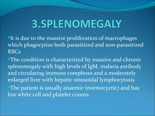 It is due to the massive proliferation of macrophages
which phagocytize both parasitized and non-parasitized
RBCs
The condition is characterized by massive and chronic
splenomegaly with high levels of IgM, malaria antibody
and circulating immune complexes and a moderately
enlarged liver with hepatic sinusoidal lymphocytosis
The patient is usually anaemic (normocyctic) and has
low white cell and platelet counts.
 