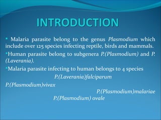  Malaria parasite belong to the genus Plasmodium which
include over 125 species infecting reptile, birds and mammals.
Human parasite belong to subgenera P.(Plasmodium) and P.
(Laverania).
Malaria parasite infecting to human belongs to 4 species
P.(Laverania)falciparum
P.(Plasmodium)vivax
P.(Plasmodium)malariae
P.(Plasmodium) ovale
 