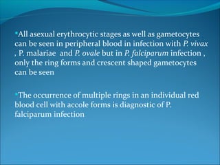 All asexual erythrocytic stages as well as gametocytes
can be seen in peripheral blood in infection with P. vivax
, P. malariae and P. ovale but in P. falciparum infection ,
only the ring forms and crescent shaped gametocytes
can be seen
The occurrence of multiple rings in an individual red
blood cell with accole forms is diagnostic of P.
falciparum infection
 