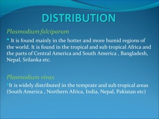 Plasmodium falciparum
 It is found mainly in the hotter and more humid regions of
the world. It is found in the tropical and sub tropical Africa and
the parts of Central America and South America , Bangladesh,
Nepal, Srilanka etc.
Plasmodium vivax
It is widely distributed in the temprate and sub tropical areas
(South America , Northern Africa, India, Nepal, Pakistan etc)
 