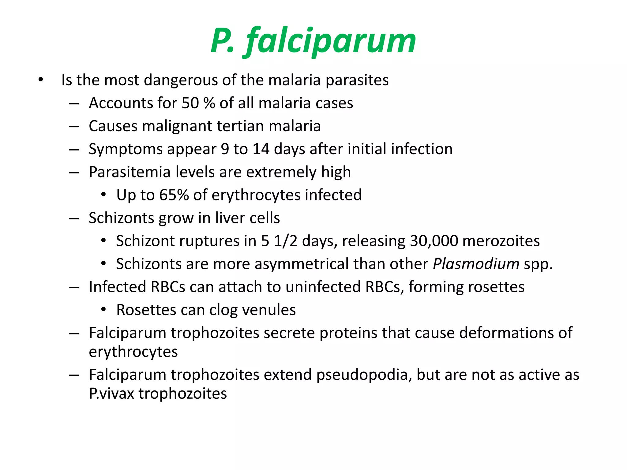 P. falciparum
• Is the most dangerous of the malaria parasites
– Accounts for 50 % of all malaria cases
– Causes malignant tertian malaria
– Symptoms appear 9 to 14 days after initial infection
– Parasitemia levels are extremely high
• Up to 65% of erythrocytes infected
– Schizonts grow in liver cells
• Schizont ruptures in 5 1/2 days, releasing 30,000 merozoites
• Schizonts are more asymmetrical than other Plasmodium spp.
– Infected RBCs can attach to uninfected RBCs, forming rosettes
• Rosettes can clog venules
– Falciparum trophozoites secrete proteins that cause deformations of
erythrocytes
– Falciparum trophozoites extend pseudopodia, but are not as active as
P.vivax trophozoites
 