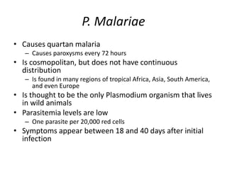 P. Malariae
• Causes quartan malaria
– Causes paroxysms every 72 hours
• Is cosmopolitan, but does not have continuous
distribution
– Is found in many regions of tropical Africa, Asia, South America,
and even Europe
• Is thought to be the only Plasmodium organism that lives
in wild animals
• Parasitemia levels are low
– One parasite per 20,000 red cells
• Symptoms appear between 18 and 40 days after initial
infection
 