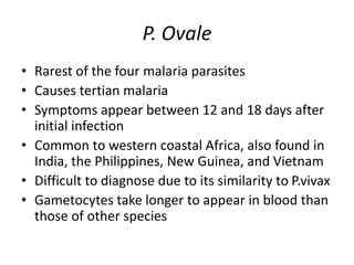 P. Ovale
• Rarest of the four malaria parasites
• Causes tertian malaria
• Symptoms appear between 12 and 18 days after
initial infection
• Common to western coastal Africa, also found in
India, the Philippines, New Guinea, and Vietnam
• Difficult to diagnose due to its similarity to P.vivax
• Gametocytes take longer to appear in blood than
those of other species
 