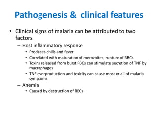 Pathogenesis & clinical features
• Clinical signs of malaria can be attributed to two
factors
– Host inflammatory response
• Produces chills and fever
• Correlated with maturation of merozoites, rupture of RBCs
• Toxins released from burst RBCs can stimulate secretion of TNF by
macrophages
• TNF overproduction and toxicity can cause most or all of malaria
symptoms
– Anemia
• Caused by destruction of RBCs
 