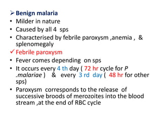 Benign malaria
• Milder in nature
• Caused by all 4 sps
• Characterised by febrile paroxysm ,anemia , &
splenomegaly
Febrile paroxysm
• Fever comes depending on sps
• It occurs every 4 th day ( 72 hr cycle for P
.malariae ) & every 3 rd day ( 48 hr for other
sps)
• Paroxysm corresponds to the release of
successive broods of merozoites into the blood
stream ,at the end of RBC cycle
 