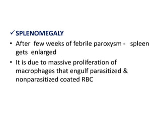 SPLENOMEGALY
• After few weeks of febrile paroxysm - spleen
gets enlarged
• It is due to massive proliferation of
macrophages that engulf parasitized &
nonparasitized coated RBC
 