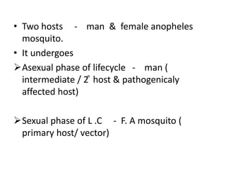 • Two hosts - man & female anopheles
mosquito.
• It undergoes
Asexual phase of lifecycle - man (
intermediate / 2 ͦ host & pathogenicaly
affected host)
Sexual phase of L .C - F. A mosquito (
primary host/ vector)
 