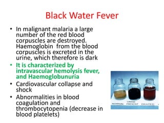 Black Water Fever
• In malignant malaria a large
number of the red blood
corpuscles are destroyed.
Haemoglobin from the blood
corpuscles is excreted in the
urine, which therefore is dark
• It is characterized by
intravascular hemolysis fever,
and Haemoglobunuria
• Cardiovascular collapse and
shock
• Abnormalities in blood
coagulation and
thrombocytopenia (decrease in
blood platelets)
 